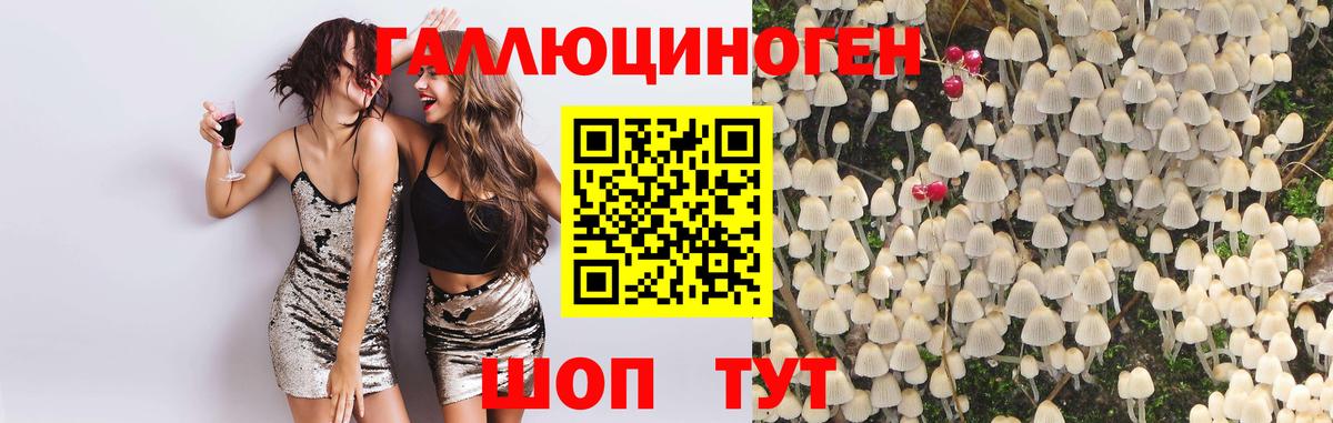 Красноярск  Галлюциногенные грибы мухоморы  Вход с VPN  что такое наркотик  Галлюциногенные грибы мухоморы 